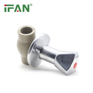 Gray PPR Chrome Valve