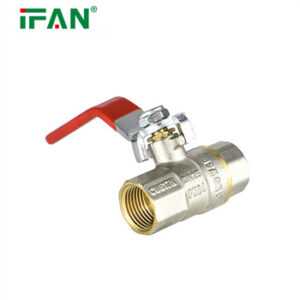 Double Color Brass Valve