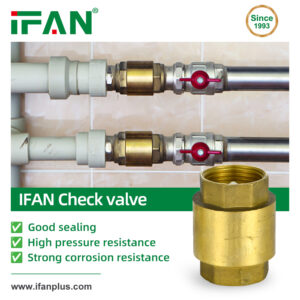 IFAN Vertical Check Valve