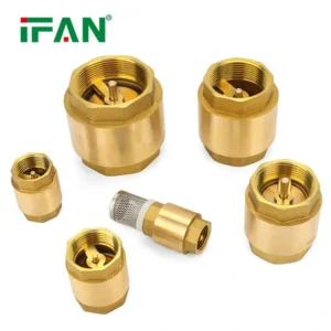 spring brass check valve