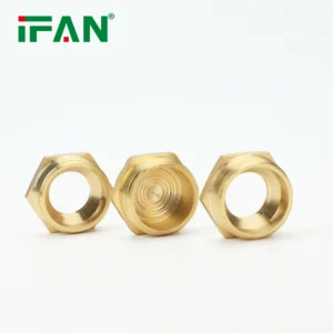 IFAN Brass Bushing