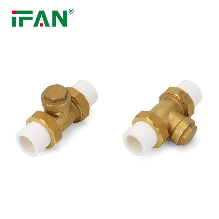 PPR Check Valve
